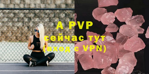 индика Михайловка