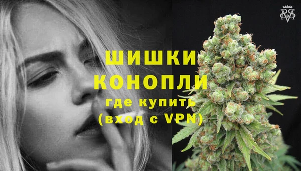 индика Михайловка