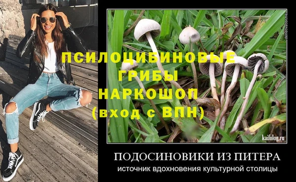 мдпв Белая Холуница
