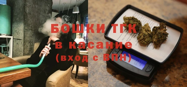 индика Михайловка