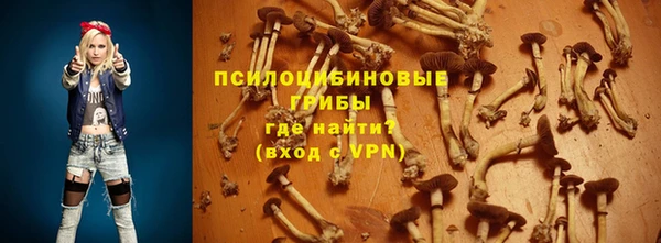 индика Михайловка