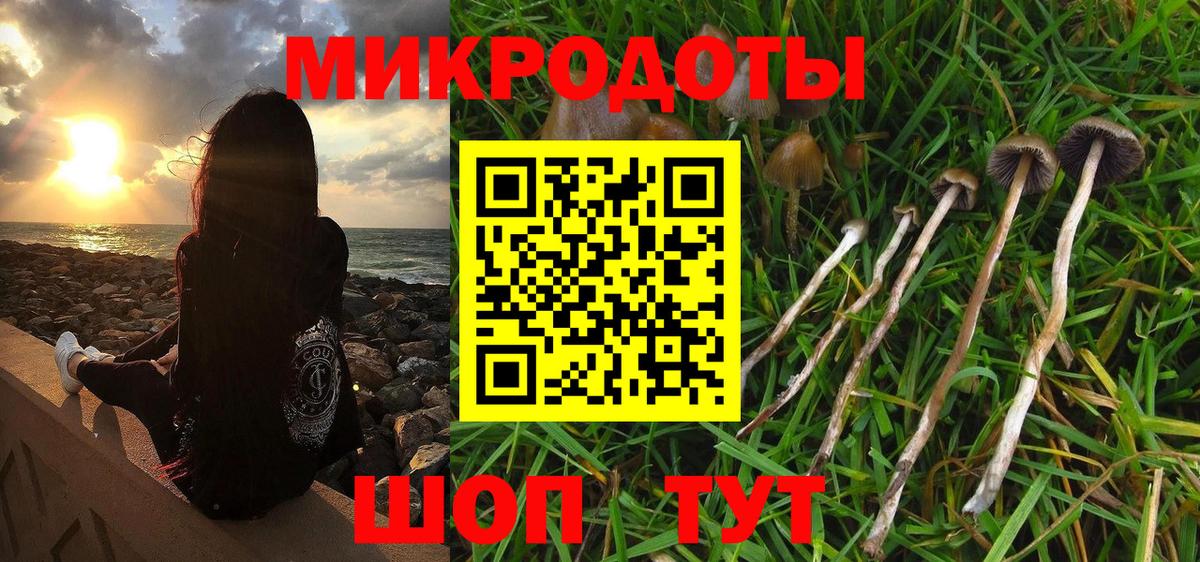 Псилоцибиновые грибы Psilocybine cubensis  Галлюциногенные грибы Cubensis  Удомля  Вход с VPN 