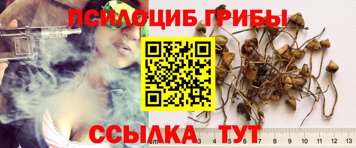 Бошки Шишки Удомля
